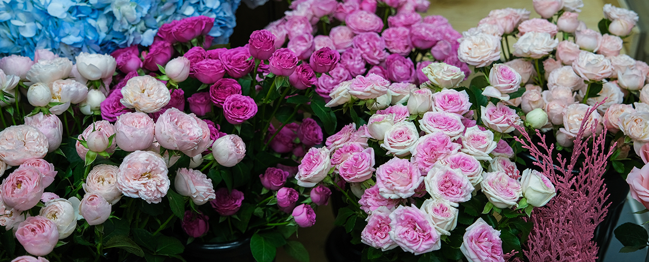Floristería Cortés