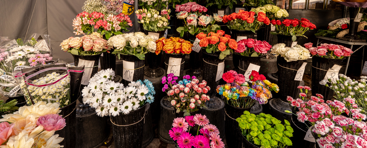 ramos de flores